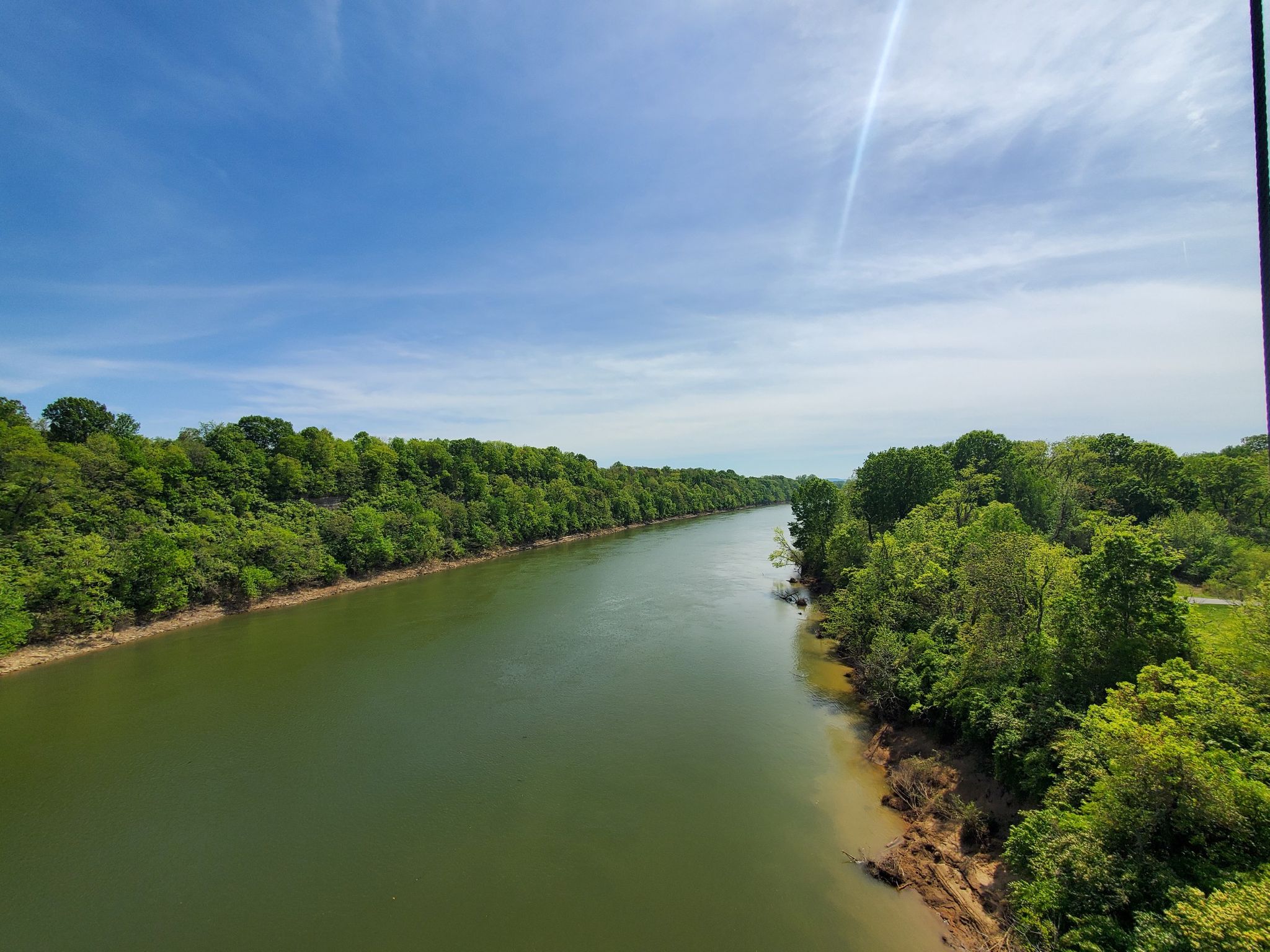 Wide river flowing through dense green forest under bright blue sky. - Music City Bikeway