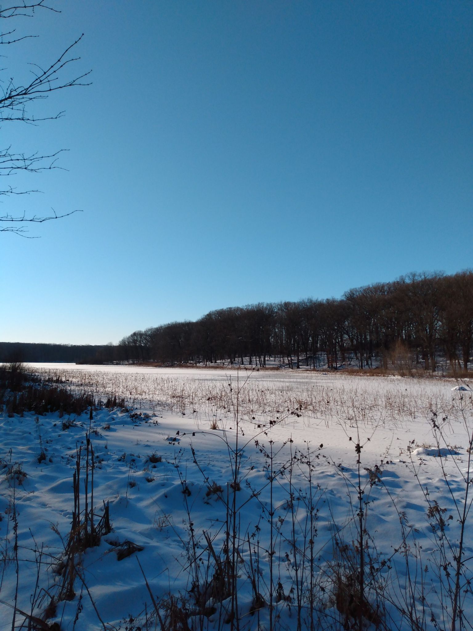 Snowy field and frozen lake bordered by dark trees under clear blue sky. - Palos Black and Orange Trail Loop