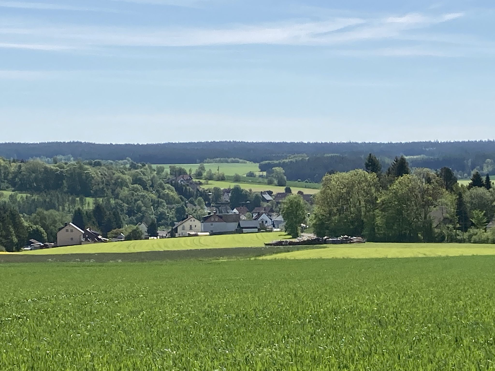 Blick auf Regnitzlosau 