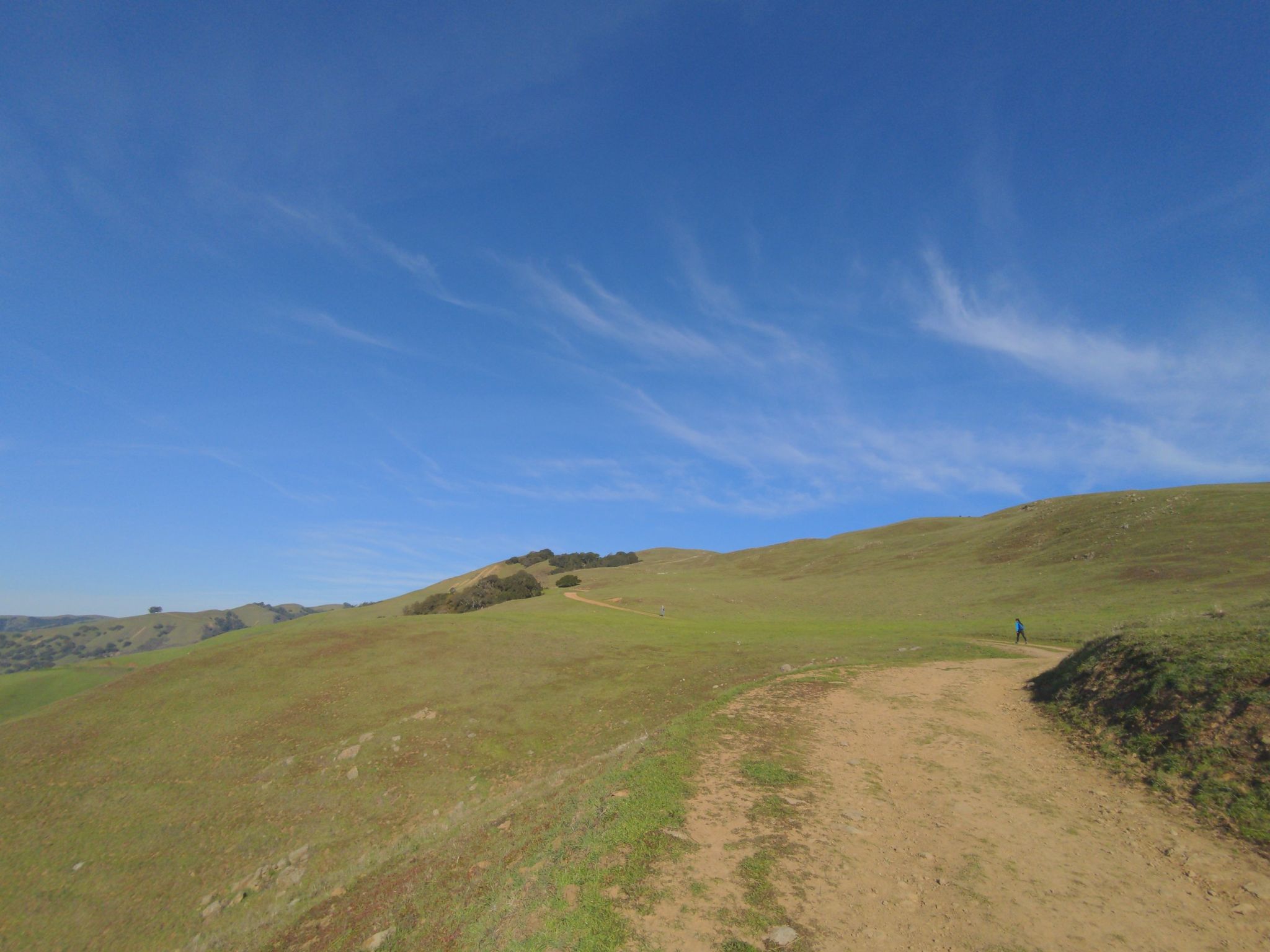 A dirt path winds through green rolling hills under a clear blue sky. - Sunol Ridge Trail