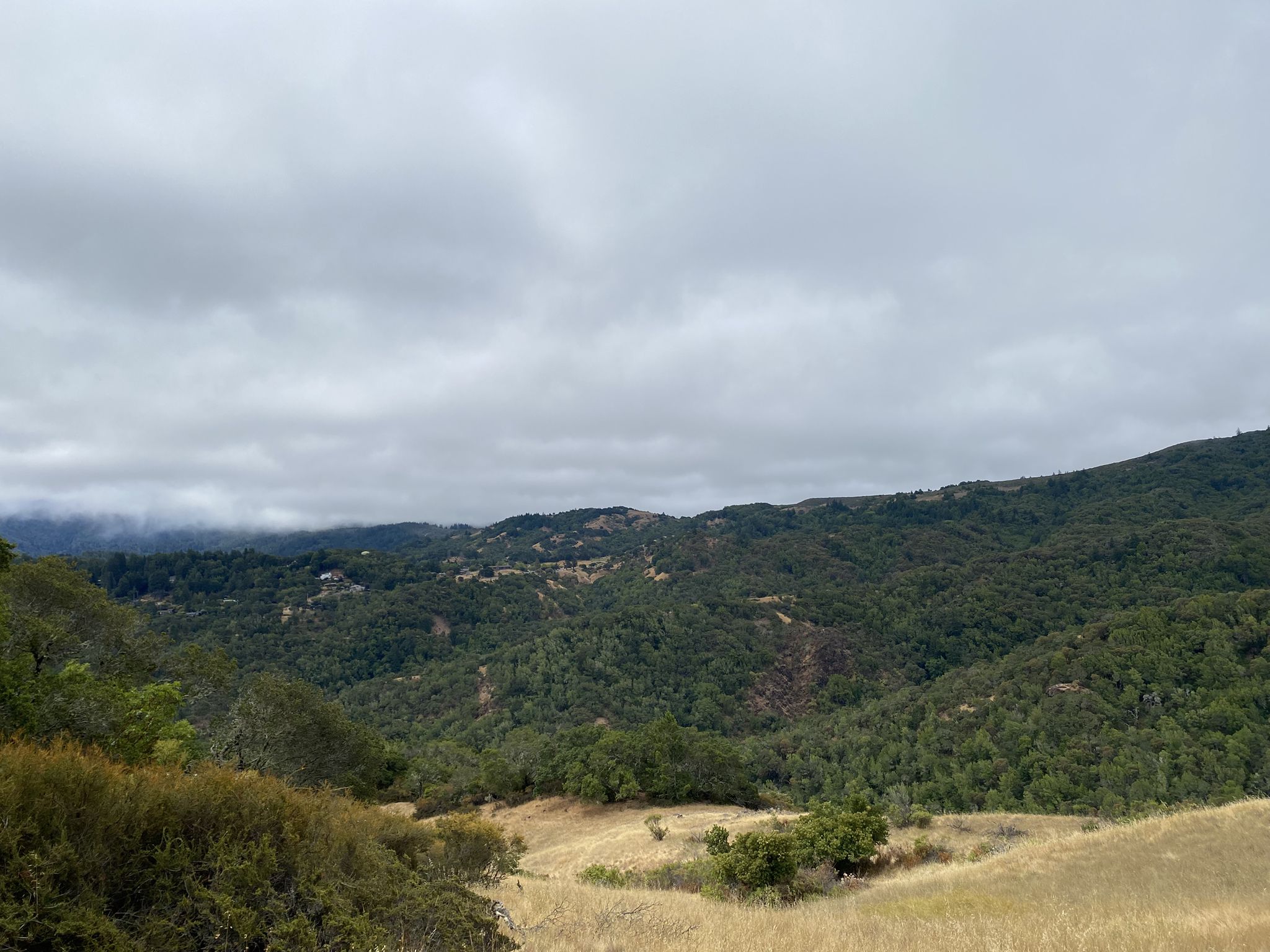 A wide view of dense green forested hills under a cloudy sky. - Fairfax Tamarancho Trails loop