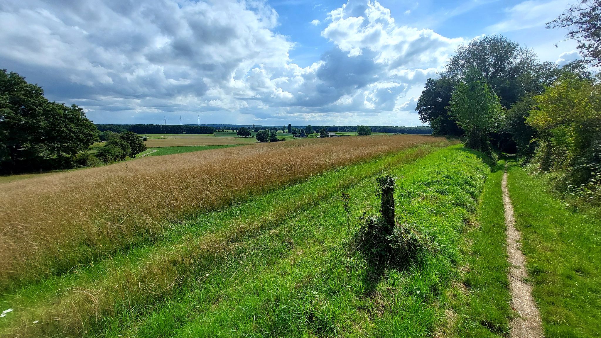 Das Wetter zeigt sich etwas launisch, aber deutlich besser, als erwartet.