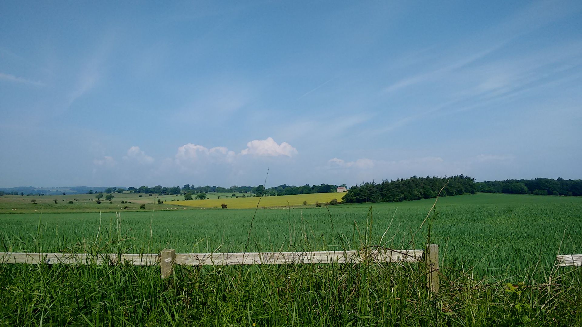 on the way to Newton