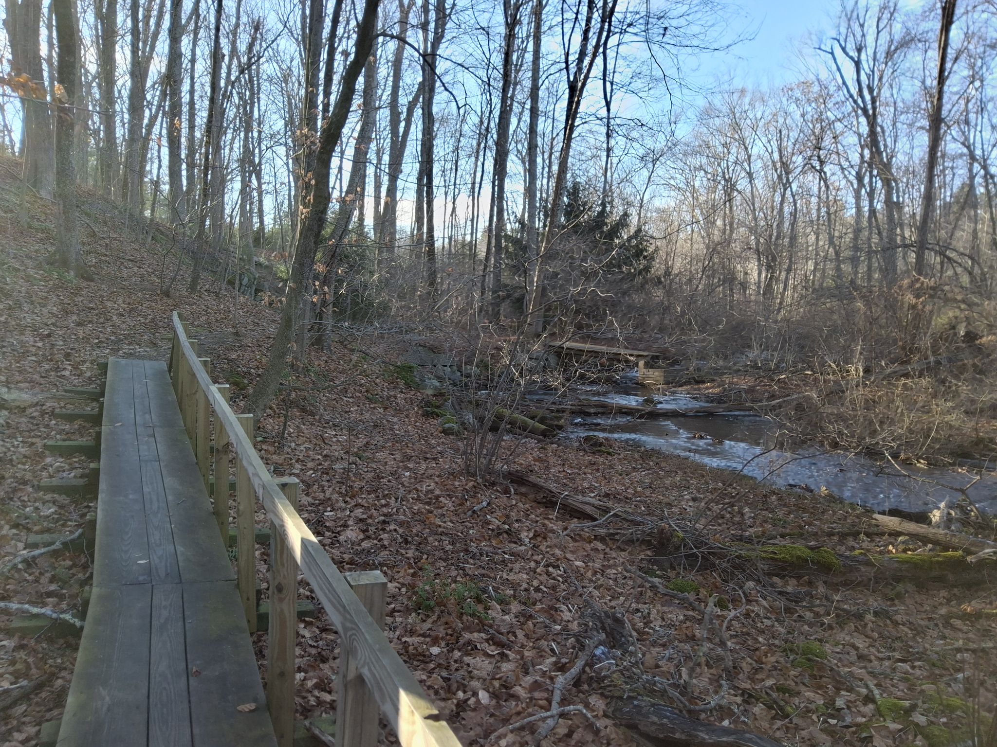 Wooden boardwalk alongside a rocky stream in a sunlit forest with bare trees. - Borderland State Park Forest – Lake Massapoag loop from Sharon