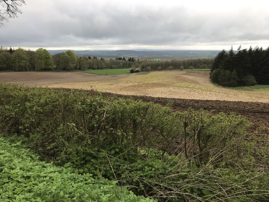 Somerset views