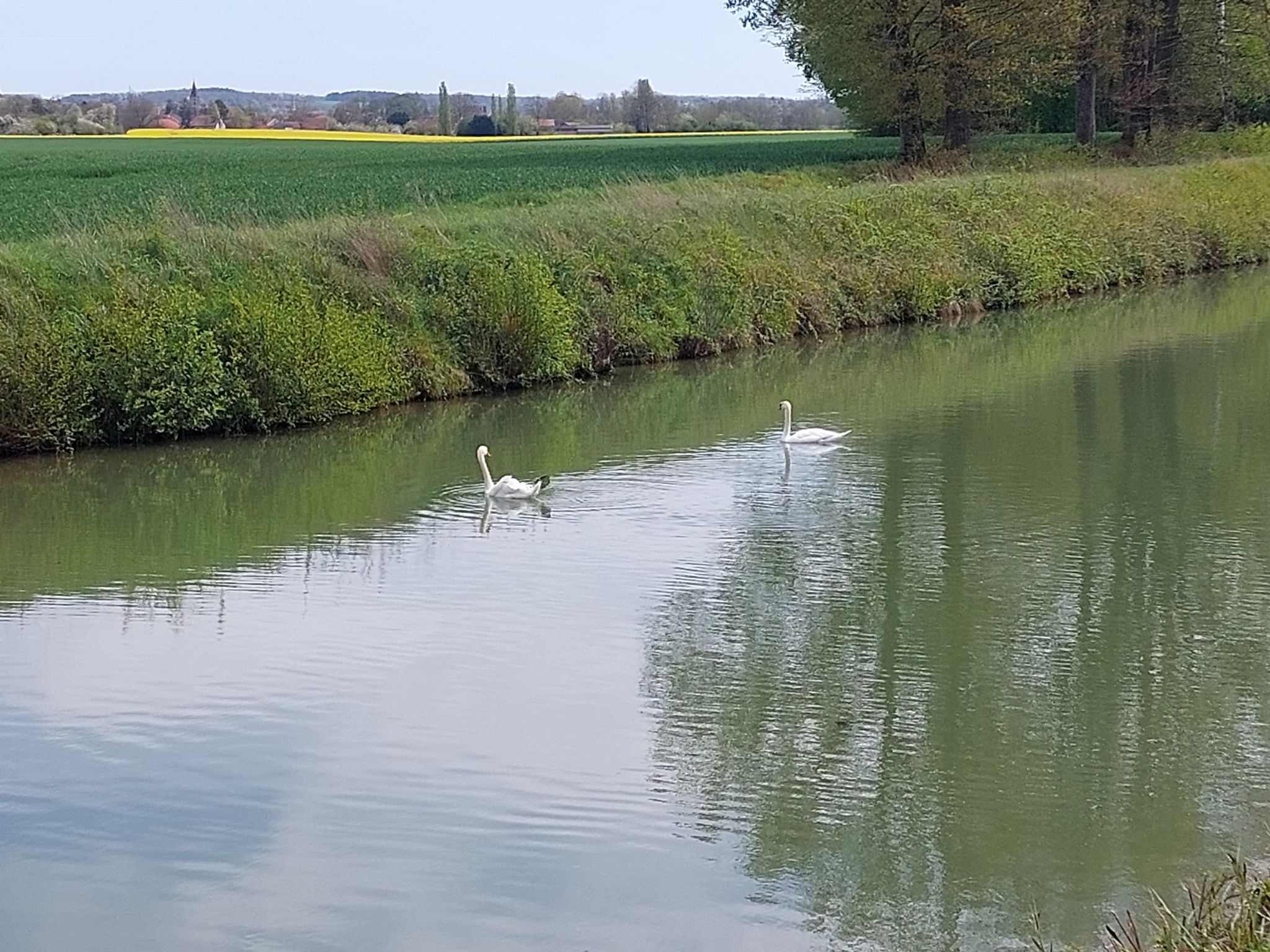 Sonst nix los auf dem Kanal
