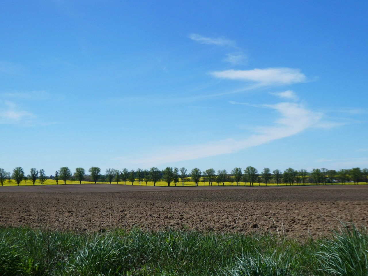 bei Wichmannsdorf