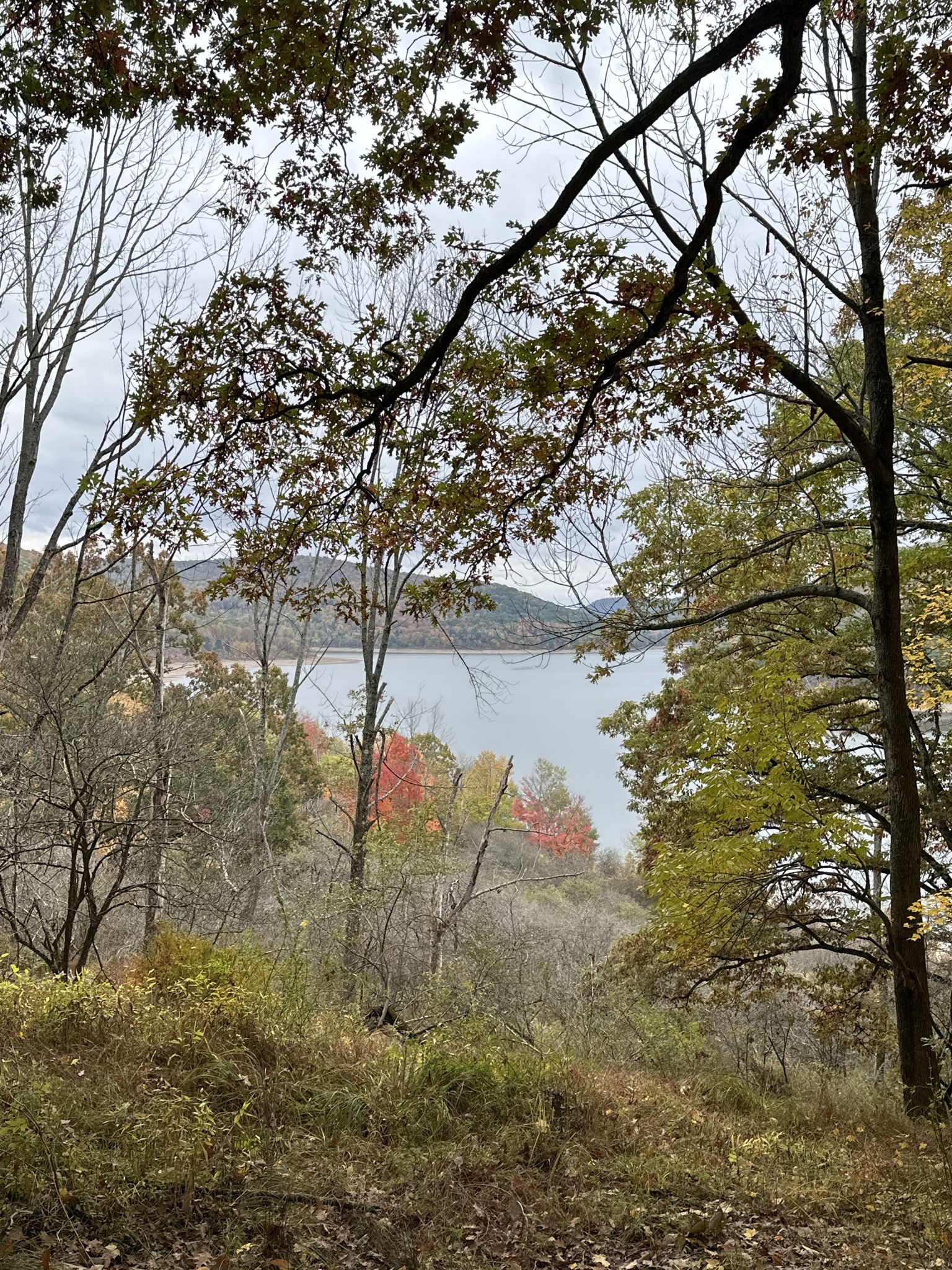 A serene lake is visible through colorful autumn trees on a cloudy day. - Morrison and Rimrock Trail Loop