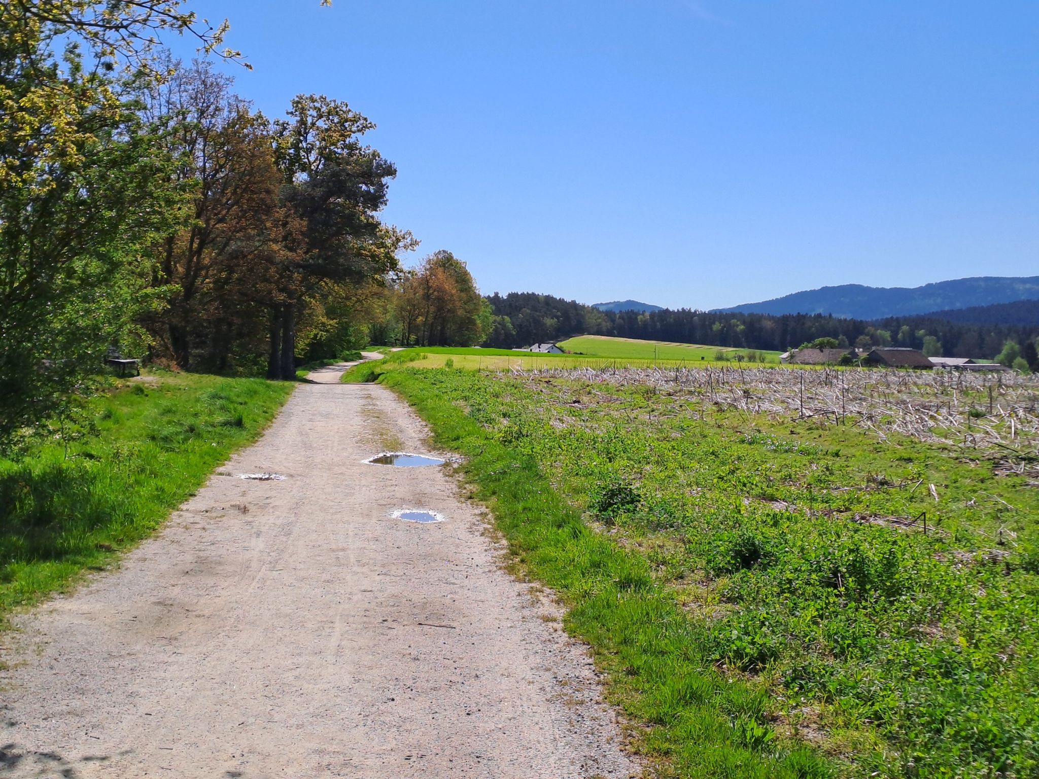 Parallelfeldweg zur B85