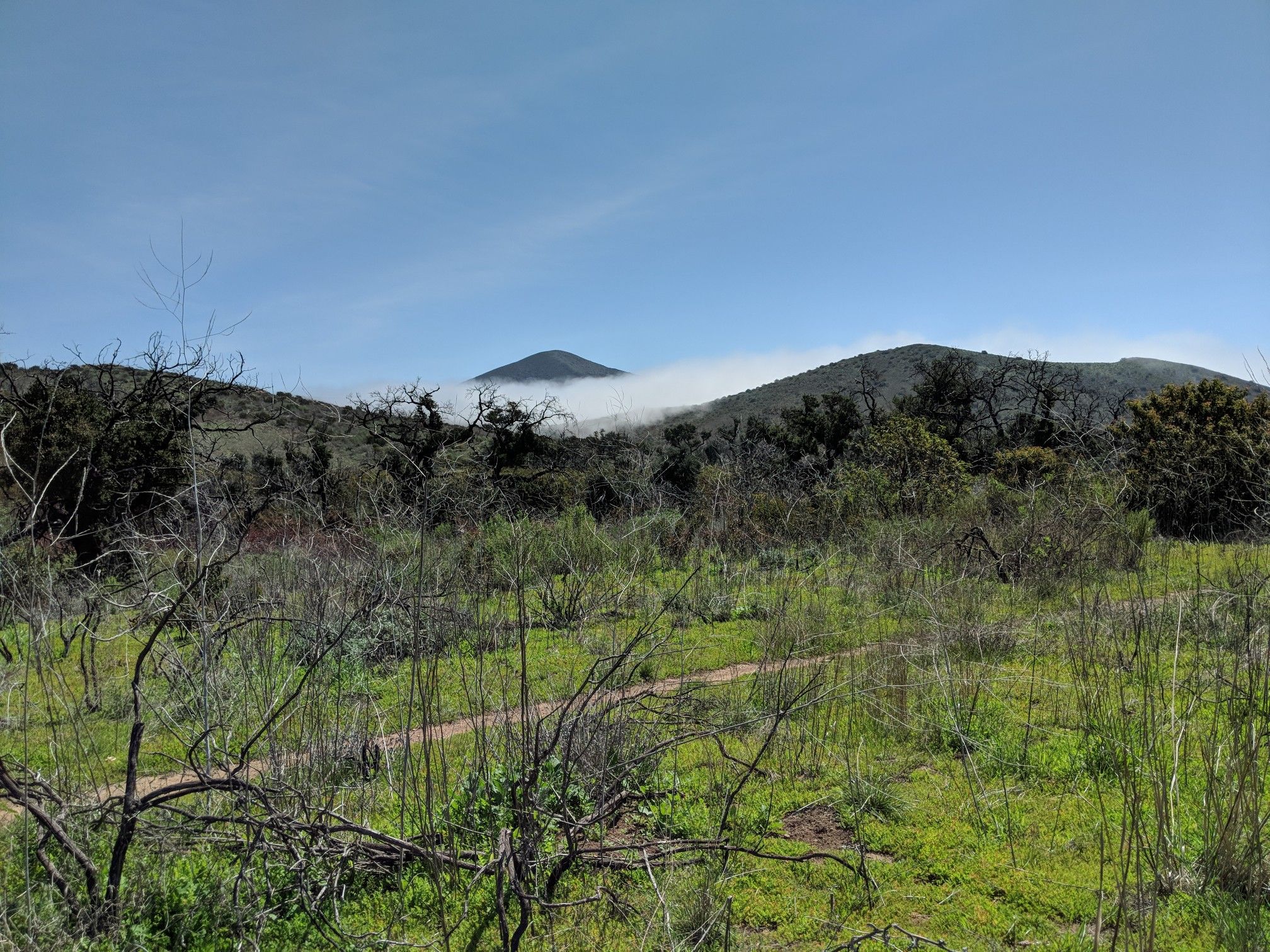 Green hills and a dirt path with distant mountains shrouded in fog. - La Jolla Valley Trail Camp – Guadalasca Trail loop from La Jolla Beach