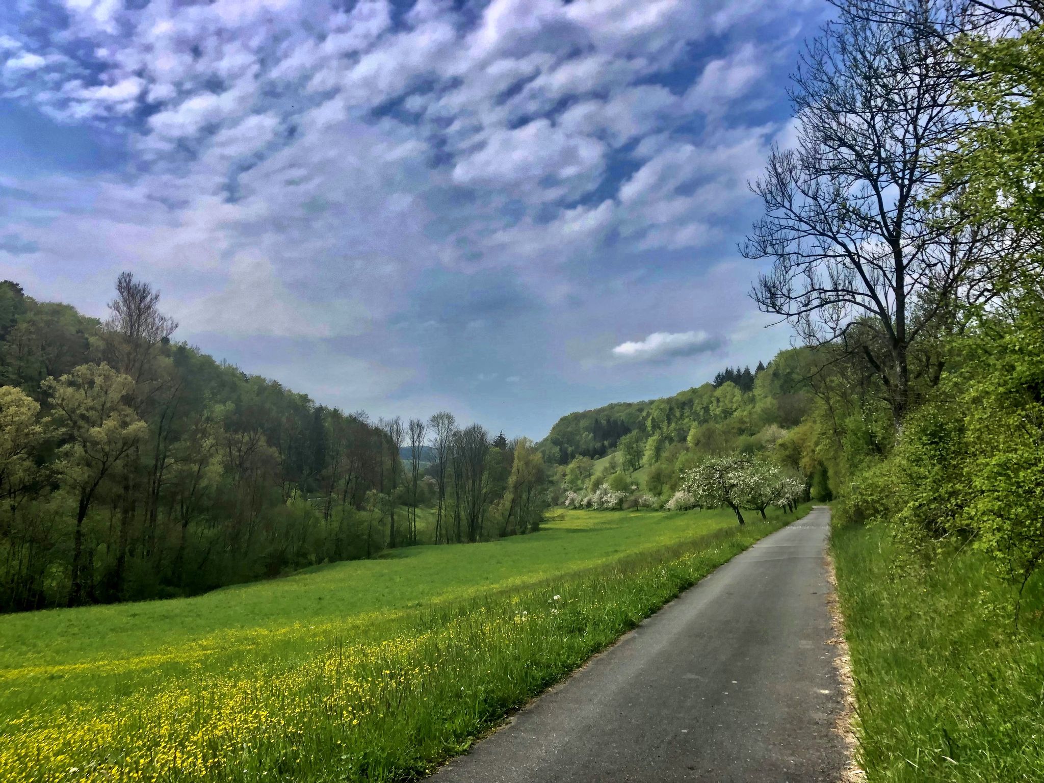 Bei Rengershausen