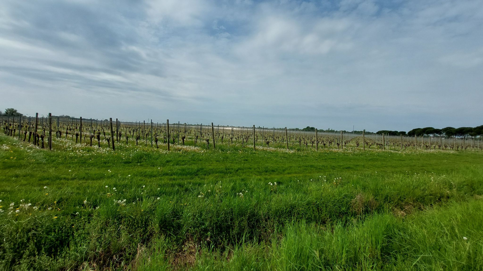 Campagne attraversate