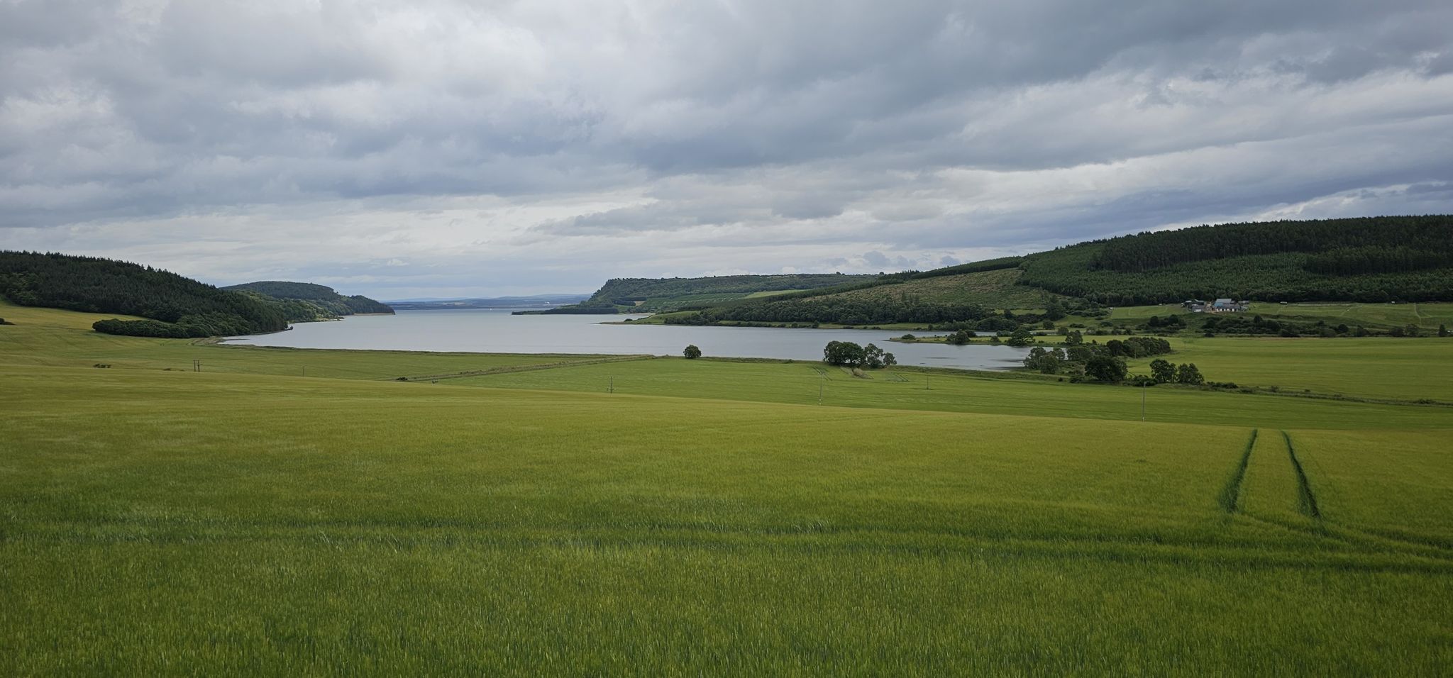 Landschaft bei Munlochy