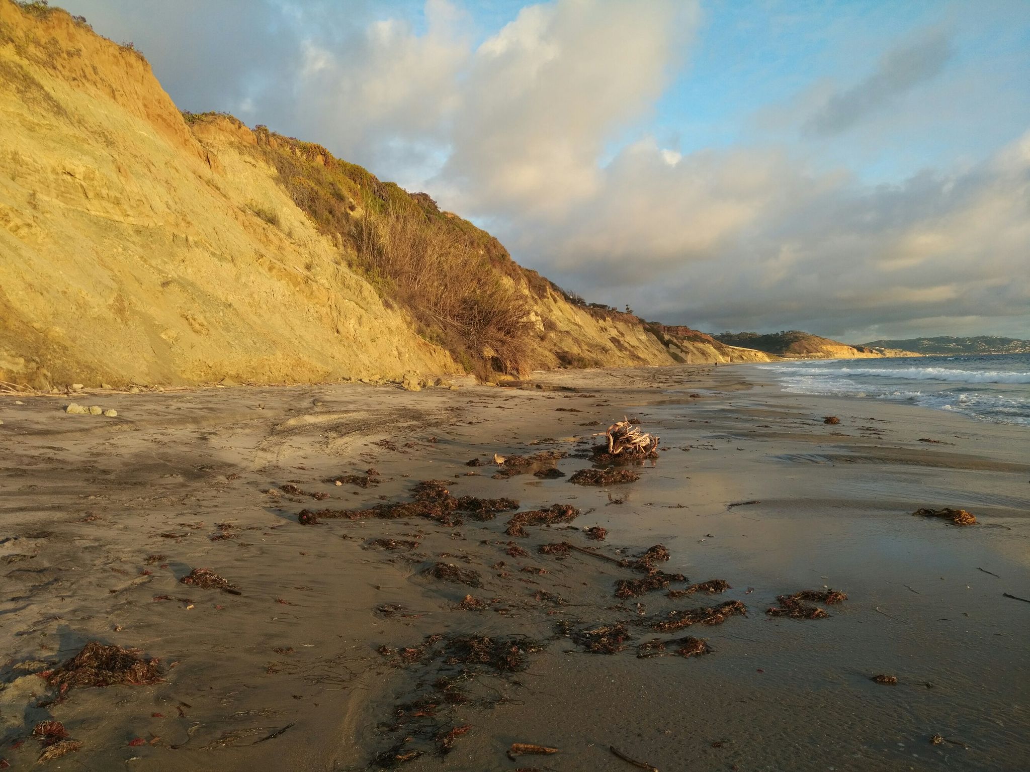Golden hour light on a sandy beach with seaweed, tall cliffs, and ocean waves. - Del Mar Beach & Seagrove Park from Solana Beach