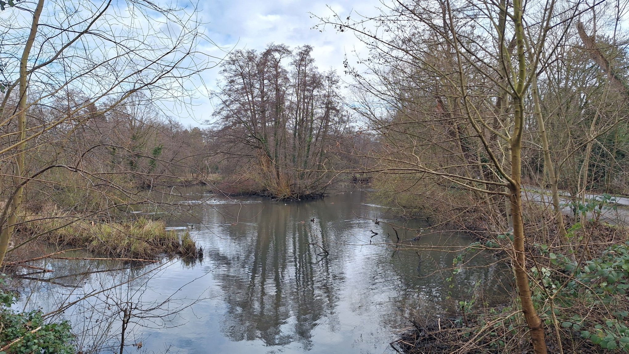Vierthaler Teich.
