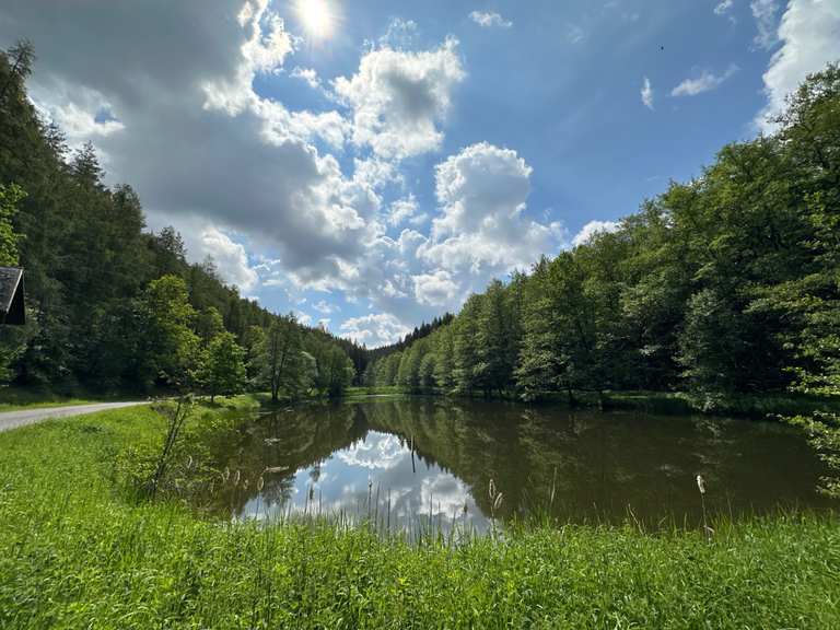 Bad Berka - Kneipp Rundweg zum Rhododendrongarten  | Wanderung | Komoot