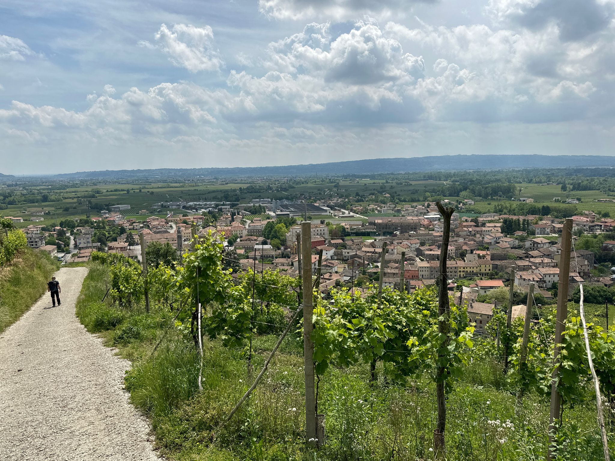 Discesa su Farra di Soligo