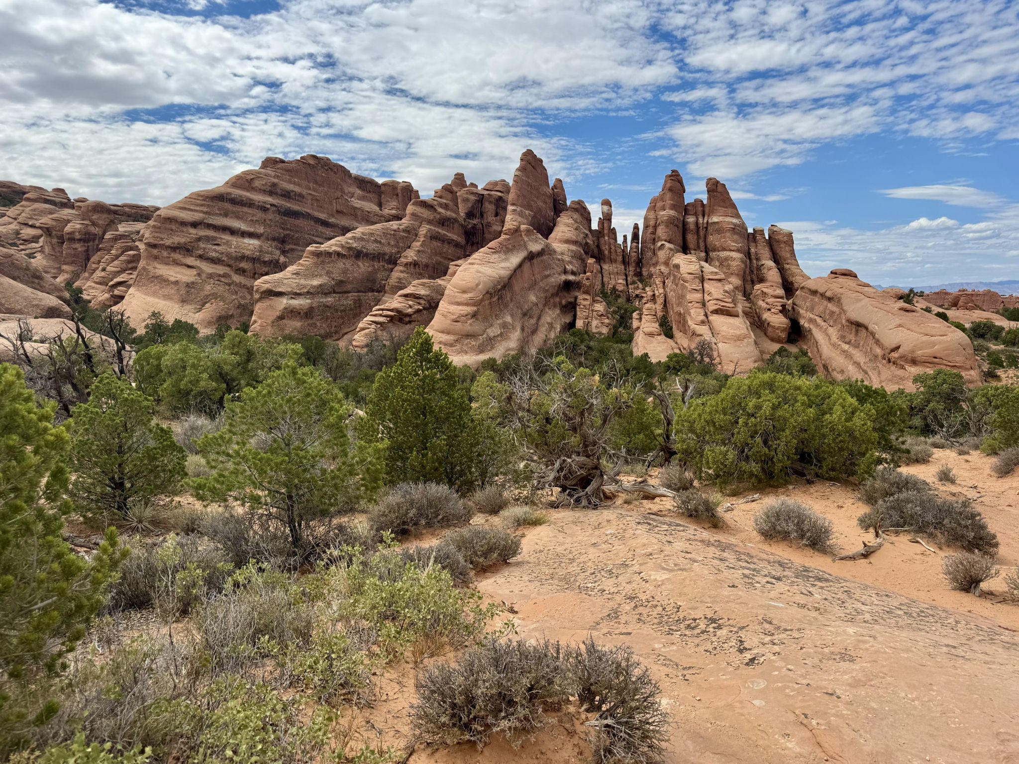 Red rock formations and desert shrubs under a partly cloudy sky. - Devil's Garden Primitive Loop