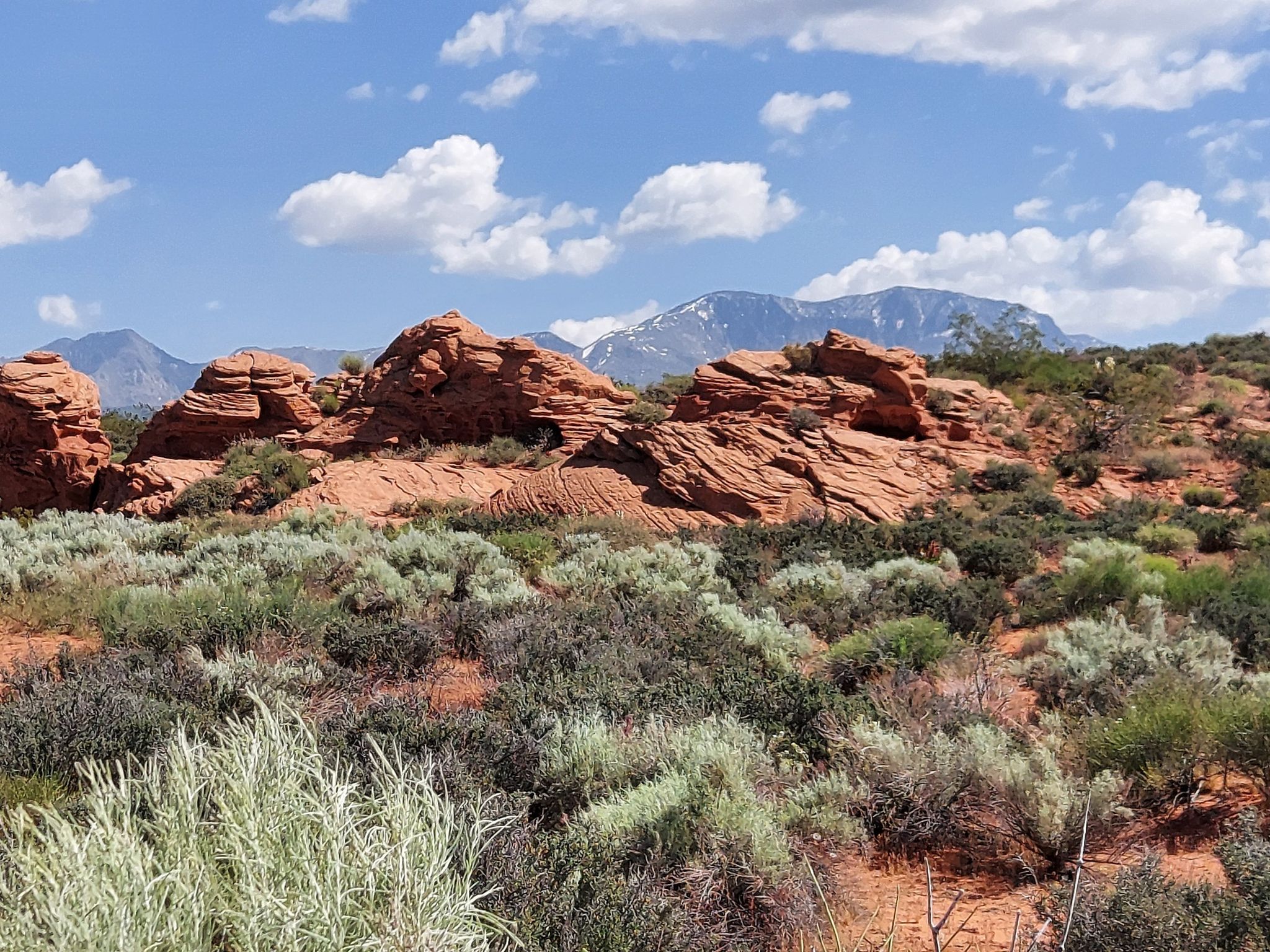 Red rock formations and desert shrubs under a bright, cloudy sky. - Gila Trail