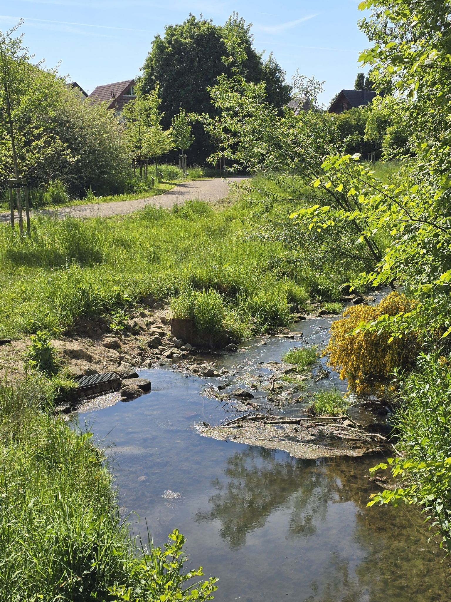 Legdener Mühlenbach
