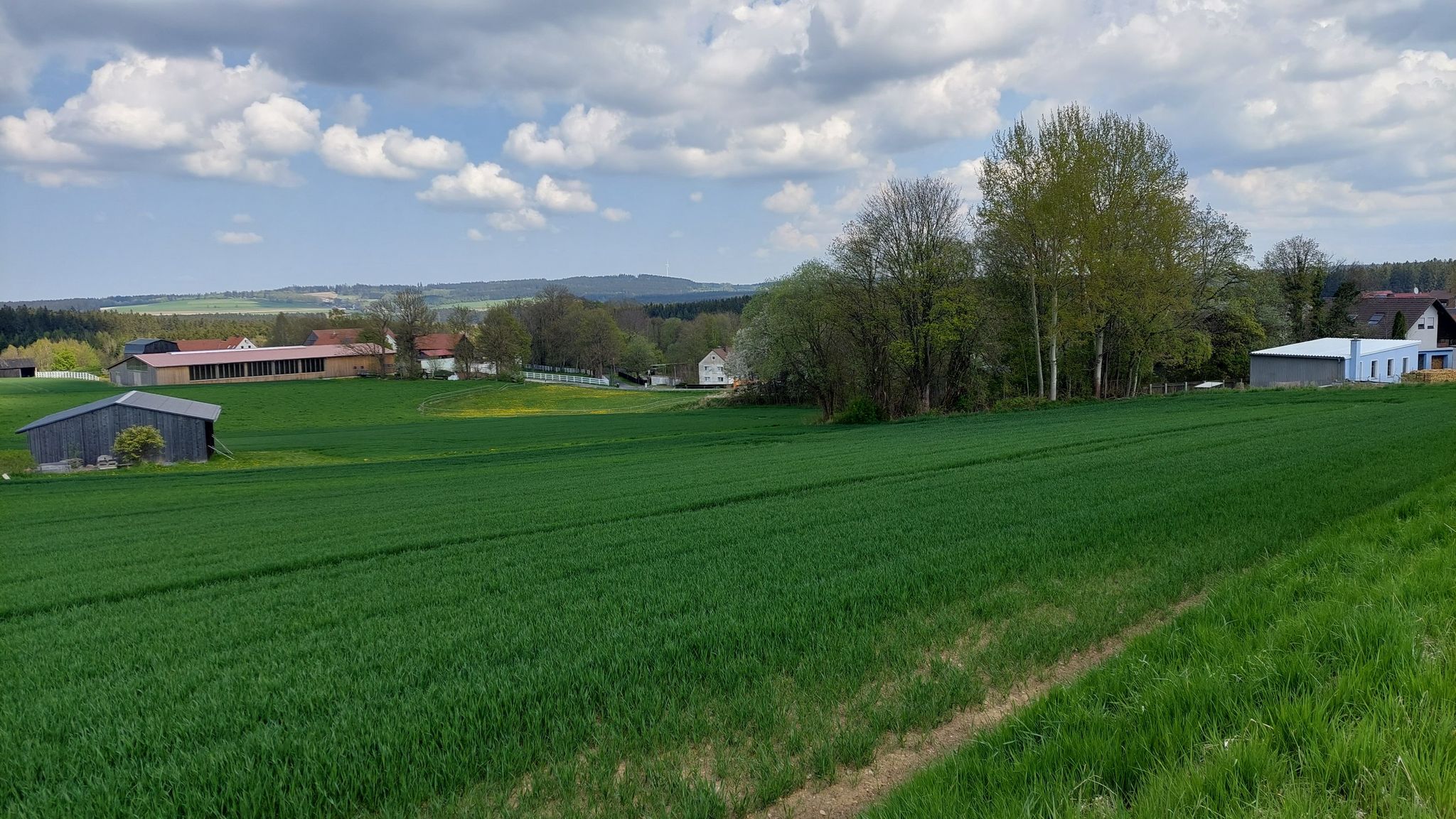 Plößberg