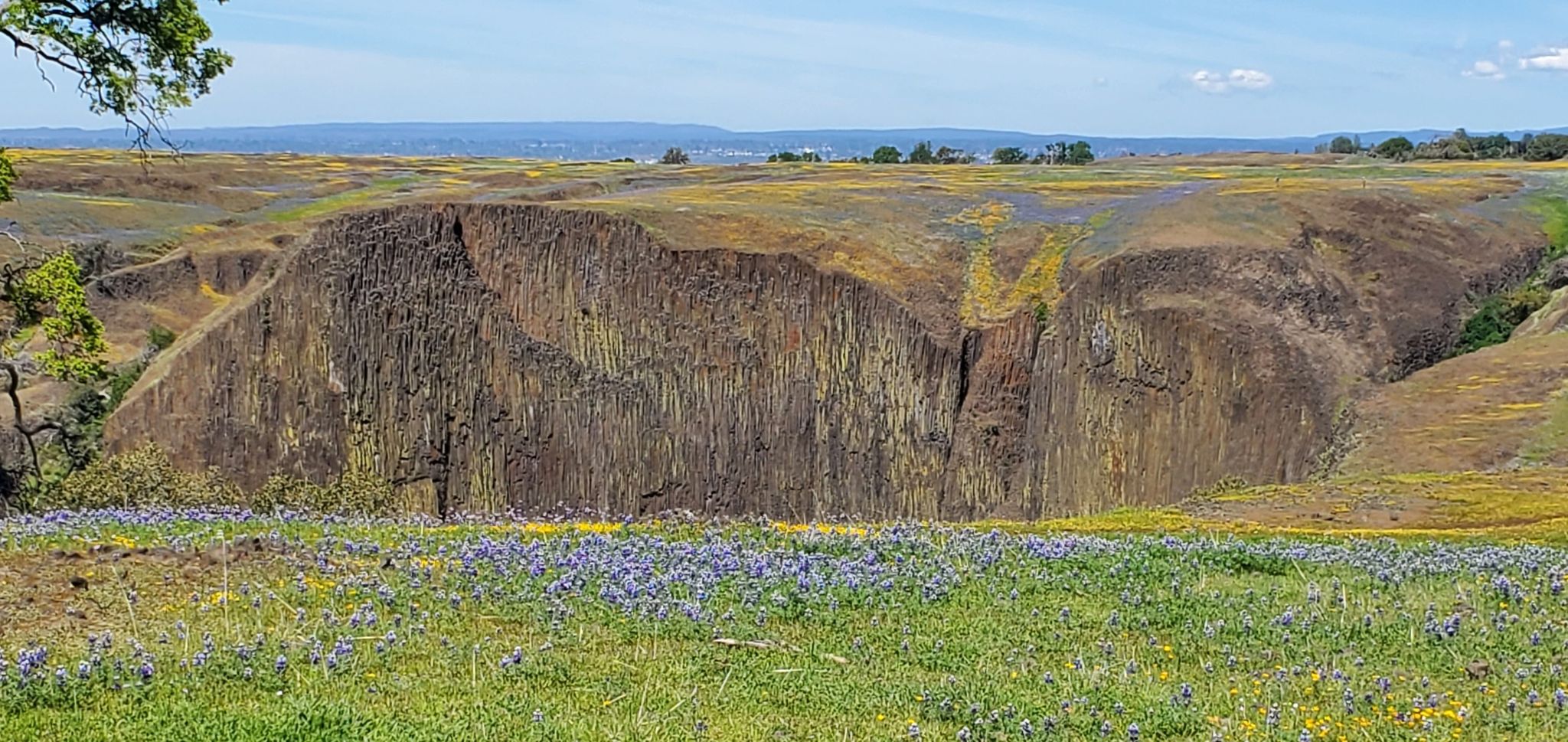 Massive columnar rock formation overlooks fields of purple wildflowers under a bright sky. - Phantom Falls Trail