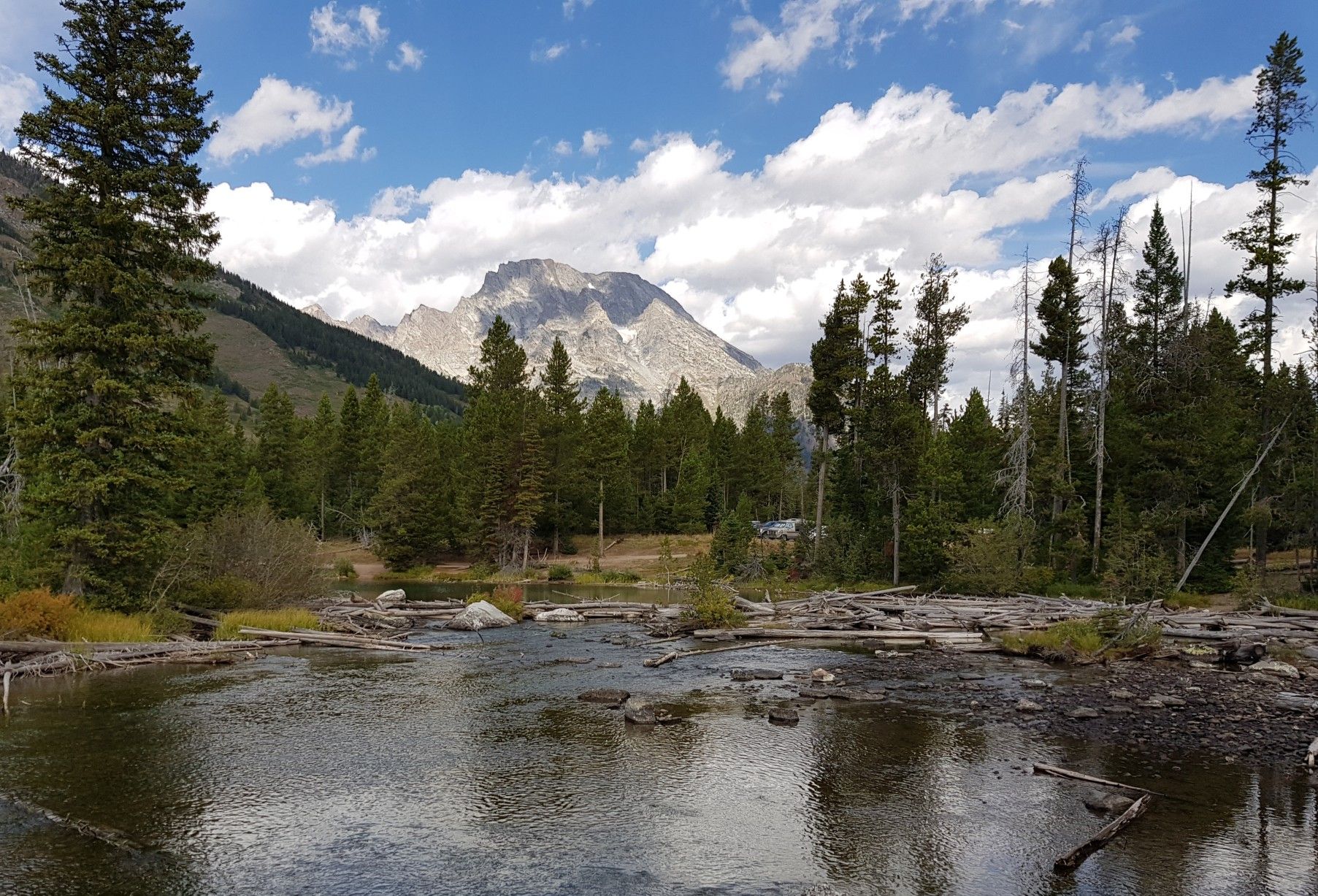 A clear river flows through a dense evergreen forest with a distant mountain peak. - String Lake Footbridge – Jenny Lake Overlook loop from Windy Point Turnout