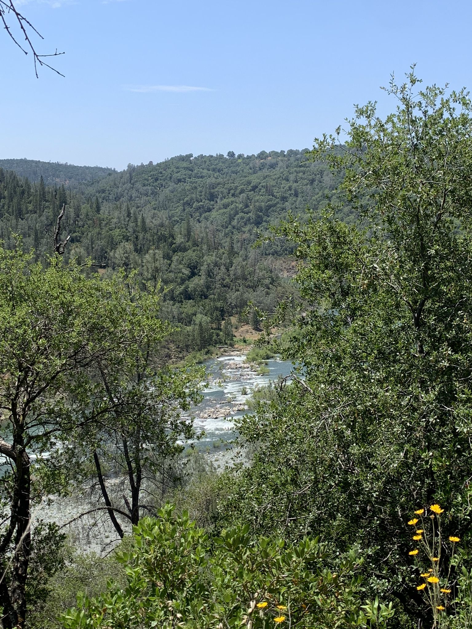Sunny view of a river winding through a lush green forested valley. - Cardiac Bypass, Pioneer Express, and Shirland Canal Loop