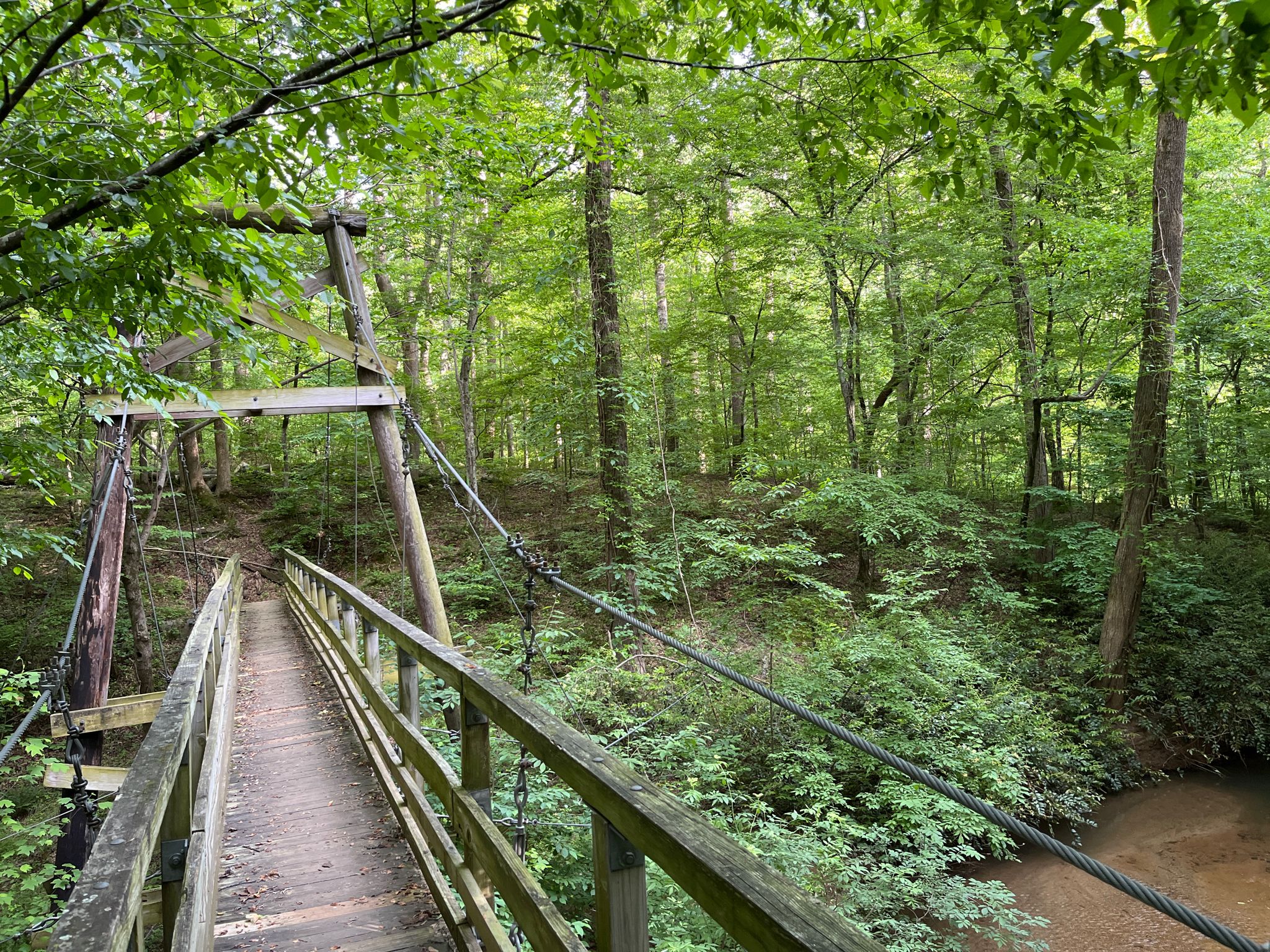 Wooden suspension bridge spanning a small stream in a lush forest. - Bridge Loop Trail
