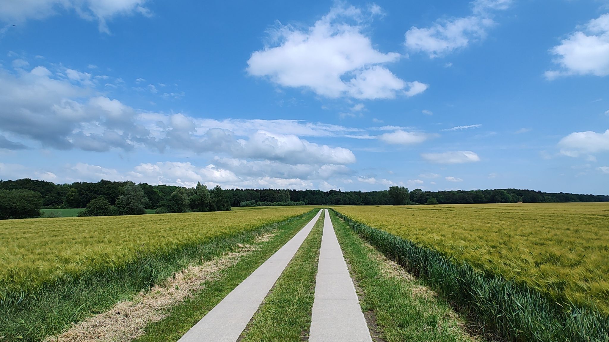 Schöner Weg hinter Hövet....