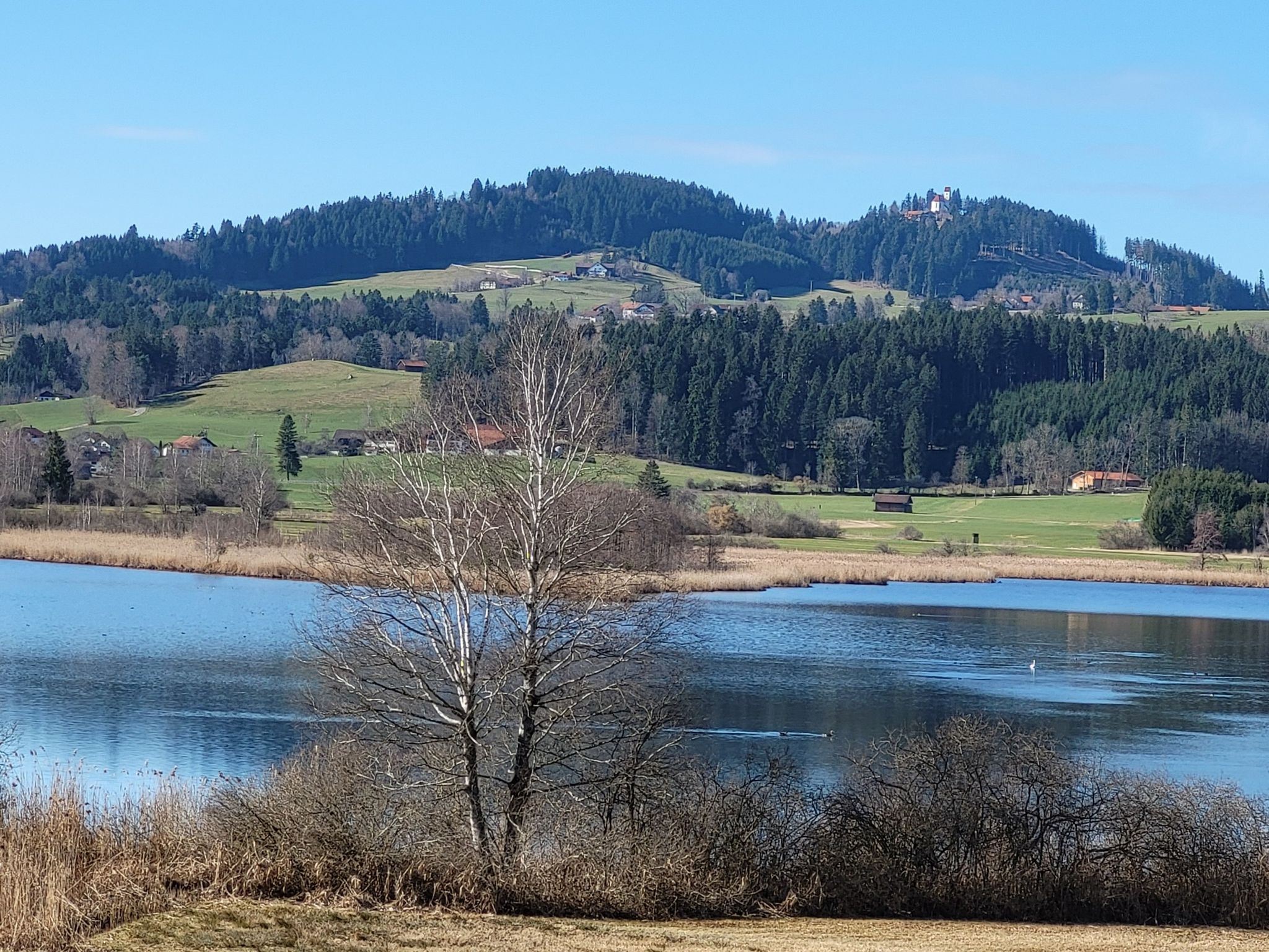 Haslach See, Blick auf Auerberg