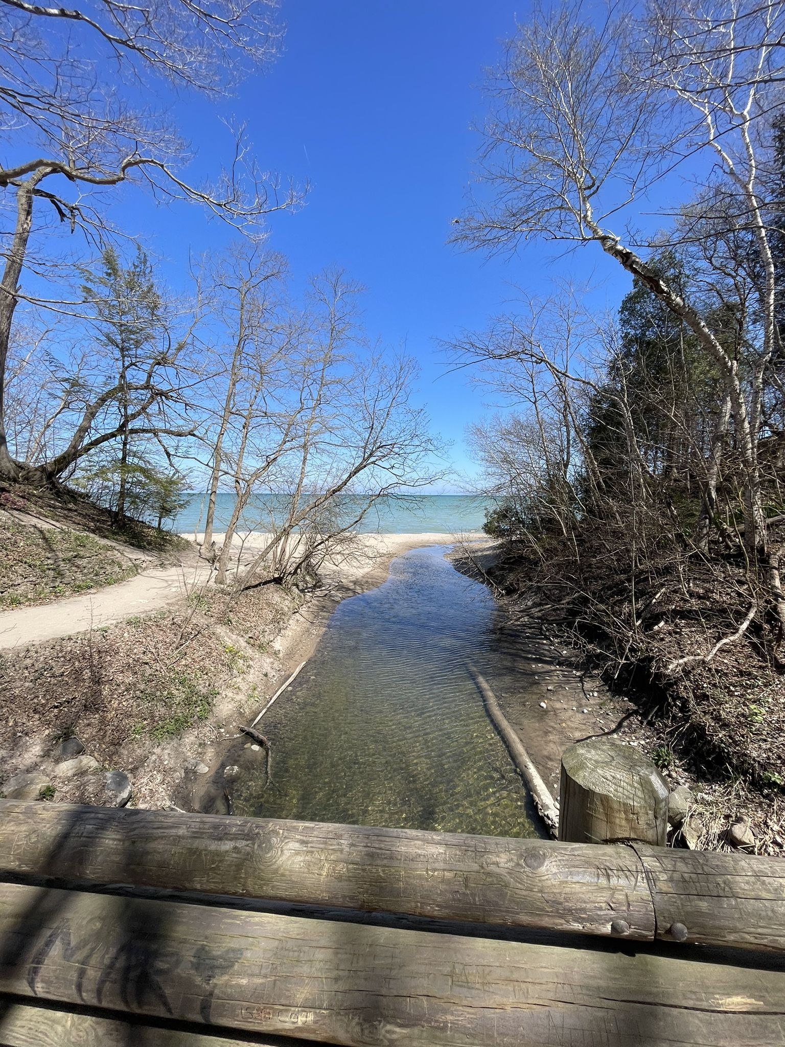 A stream flows towards a large body of water under a clear blue sky. - Seven Bridges Trail
