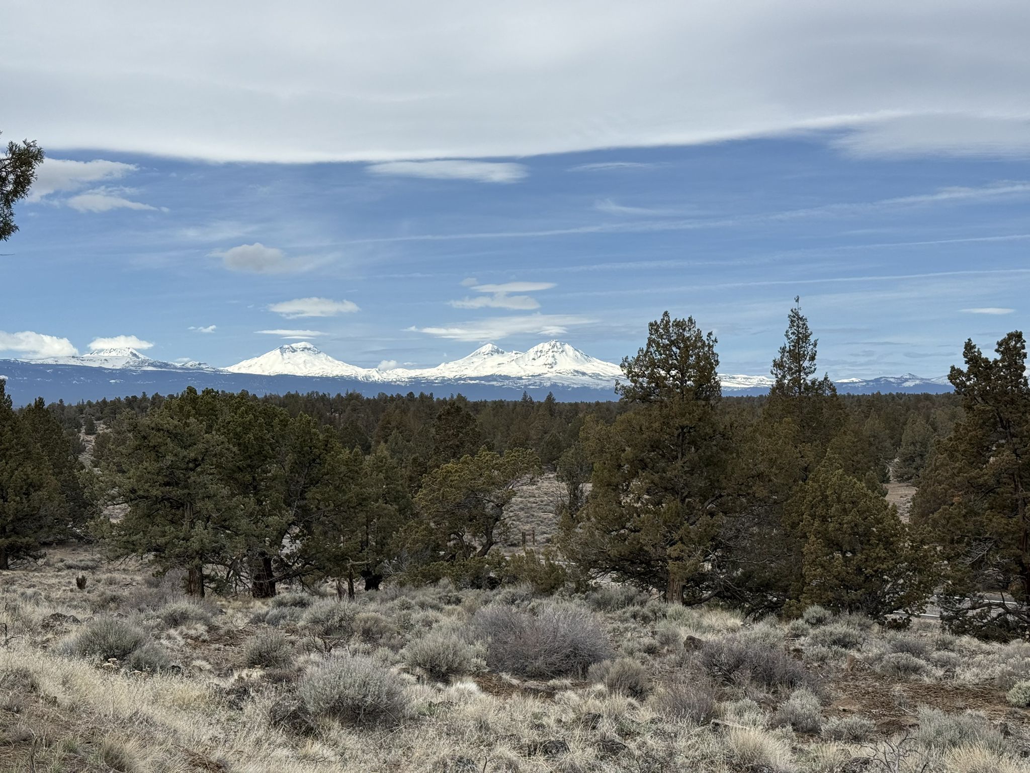 Snow-capped mountains visible over a forest of evergreens and dry brush under a cloudy sky. - Cline Buttes – Cline Buttes Recreation Area loop from Maston Trailhead