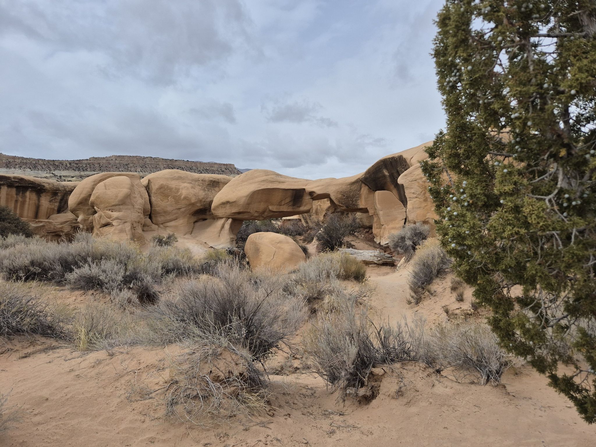 Smooth, rounded rock formations in a dry, bushy desert under an overcast sky. - Devils Garden Trail