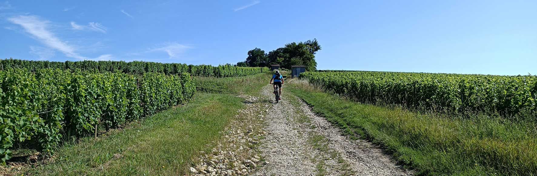 Les Vignes de Poudreau.