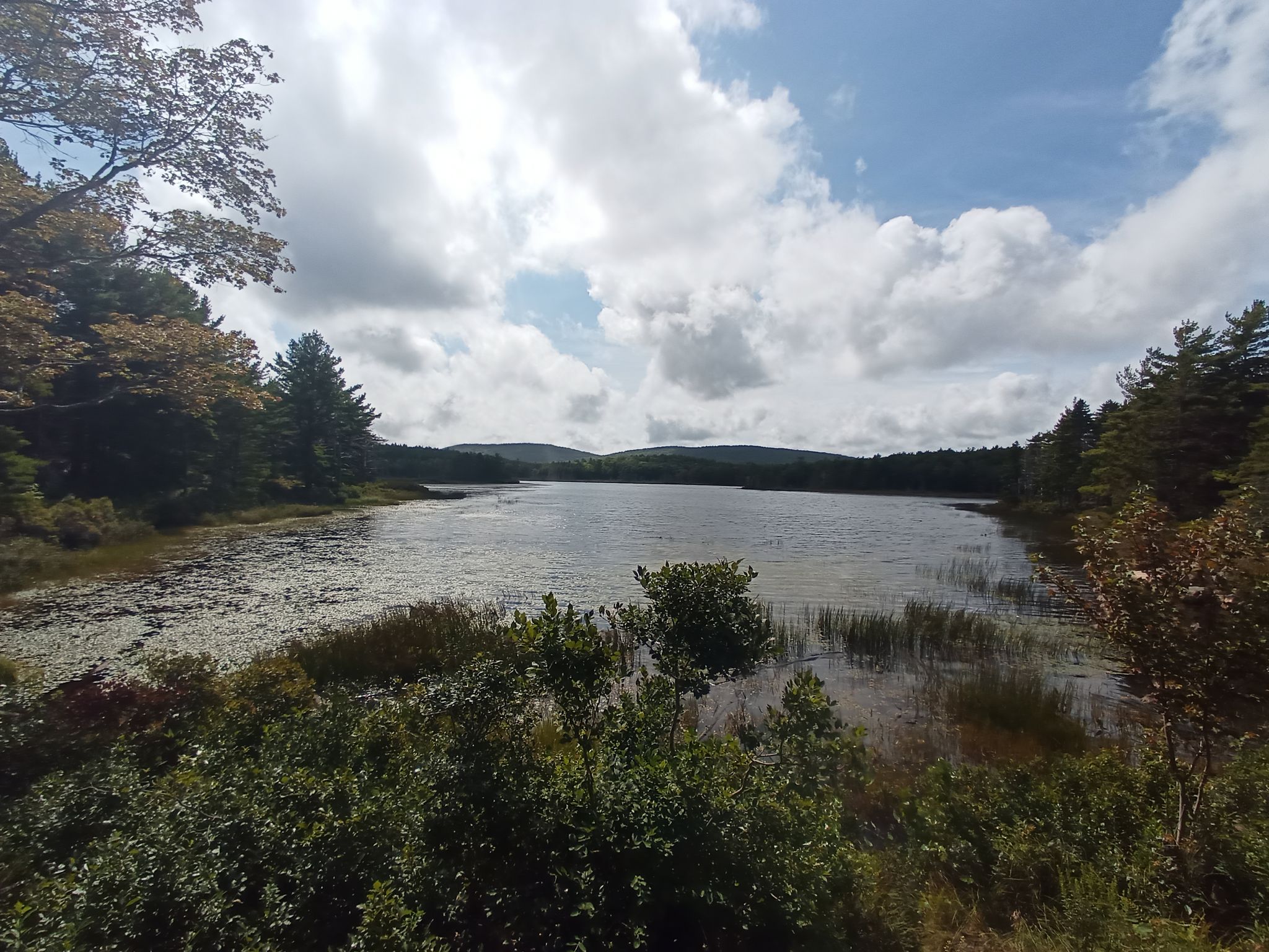 Wide lake with lily pads, green shores, under a bright cloudy sky. - Witch Hole Pond Loop