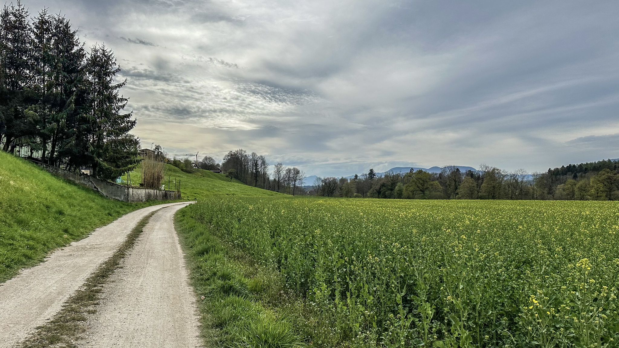 ...Weg von der Strasse und Stille kehrt ein😅...