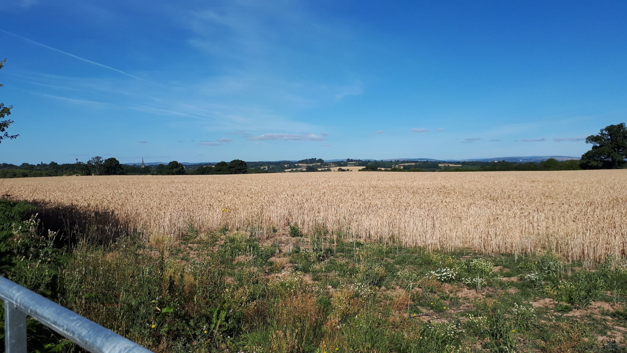 near Stocking House Farm