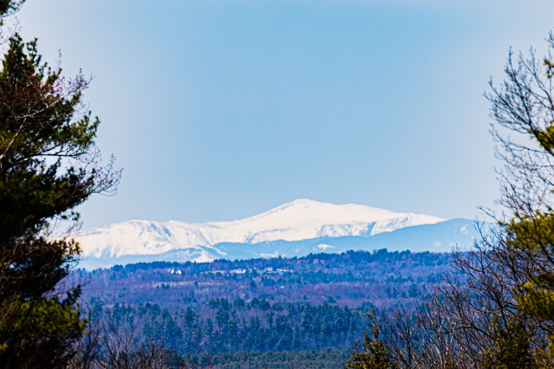 Snow-capped mountains rise above a forested valley under a clear blue sky. - Thorncrag Bird Sanctuary Trail