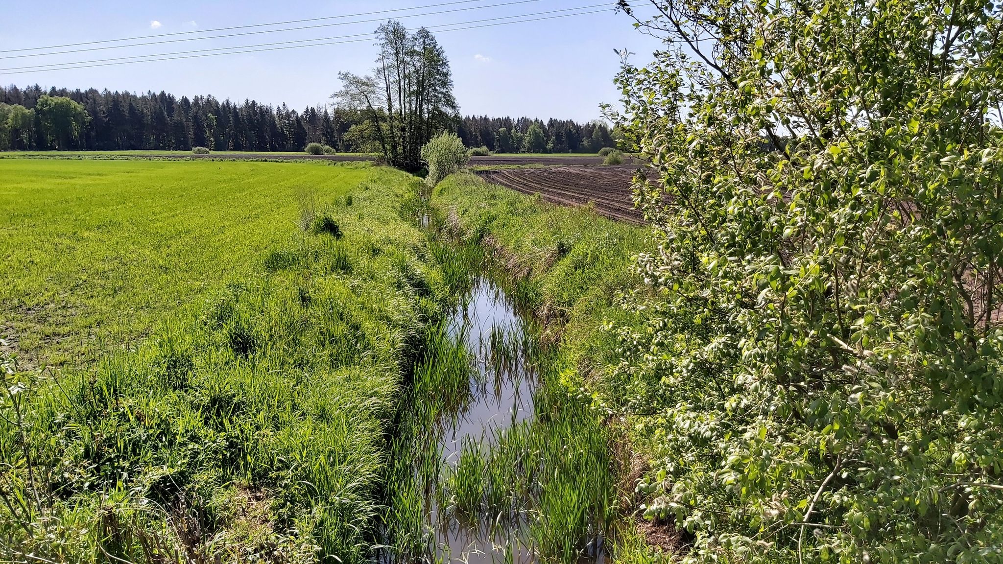 Die Oste