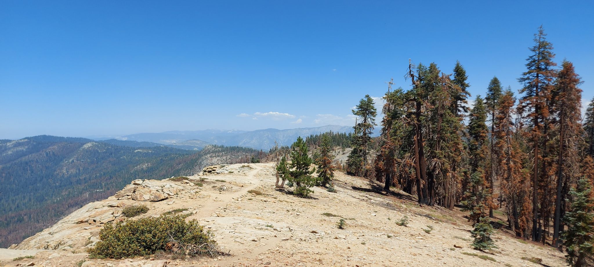 Sunny mountain view with rocky terrain, pine trees, and distant hazy peaks. - Big Baldy Ridge Trail