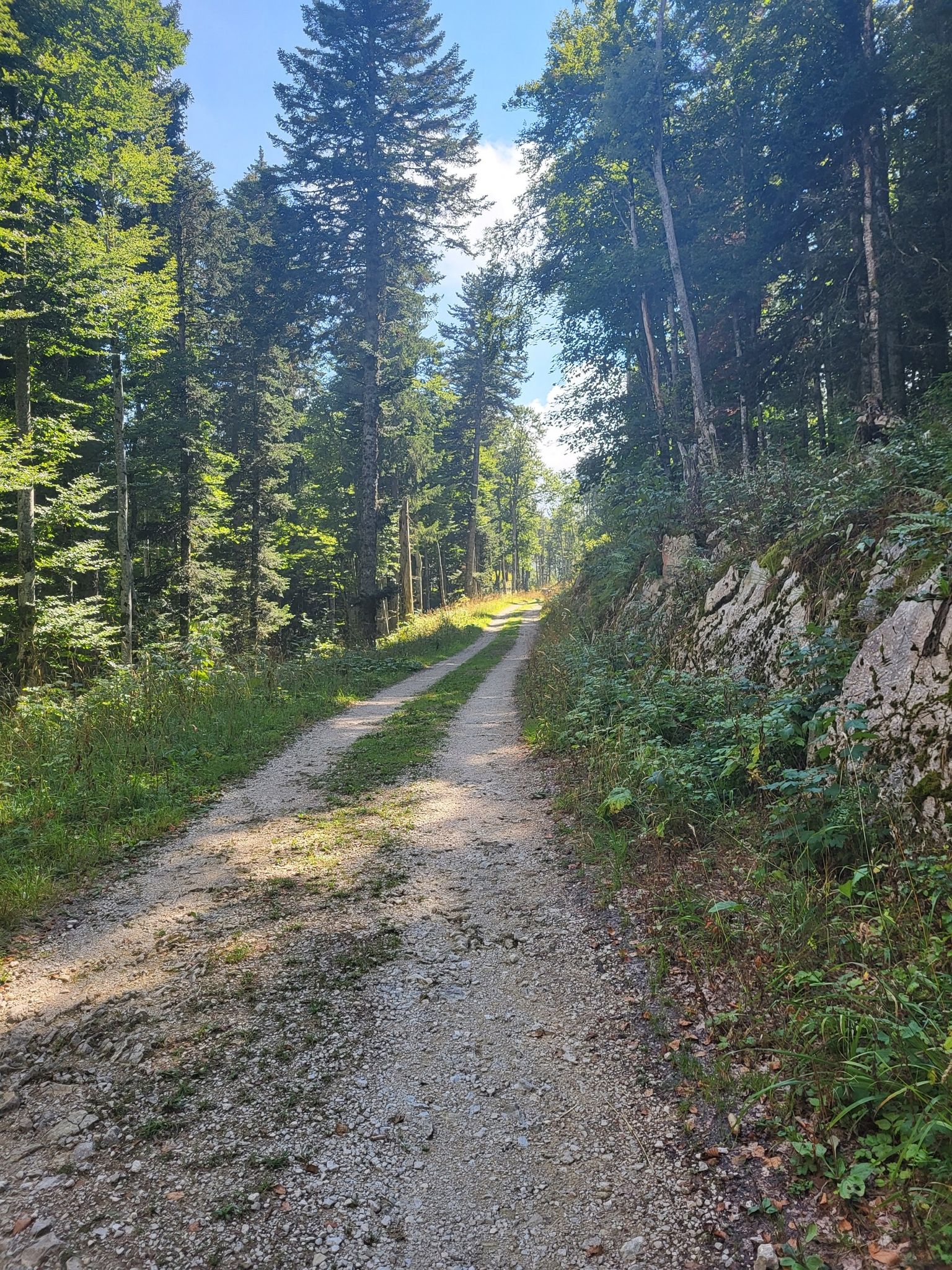 Weg zum Chalet