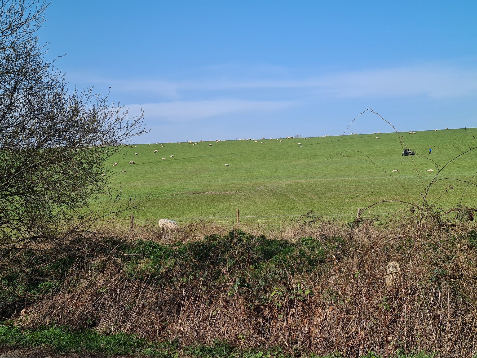 Greenhurst Lane