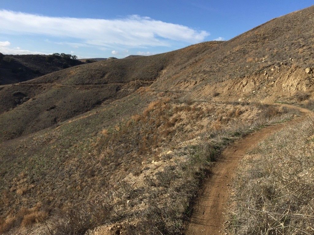 Dirt trail winding up dry, grassy hills under a bright, partly cloudy sky. - Bike loop from Mountains Restoration Trust Land