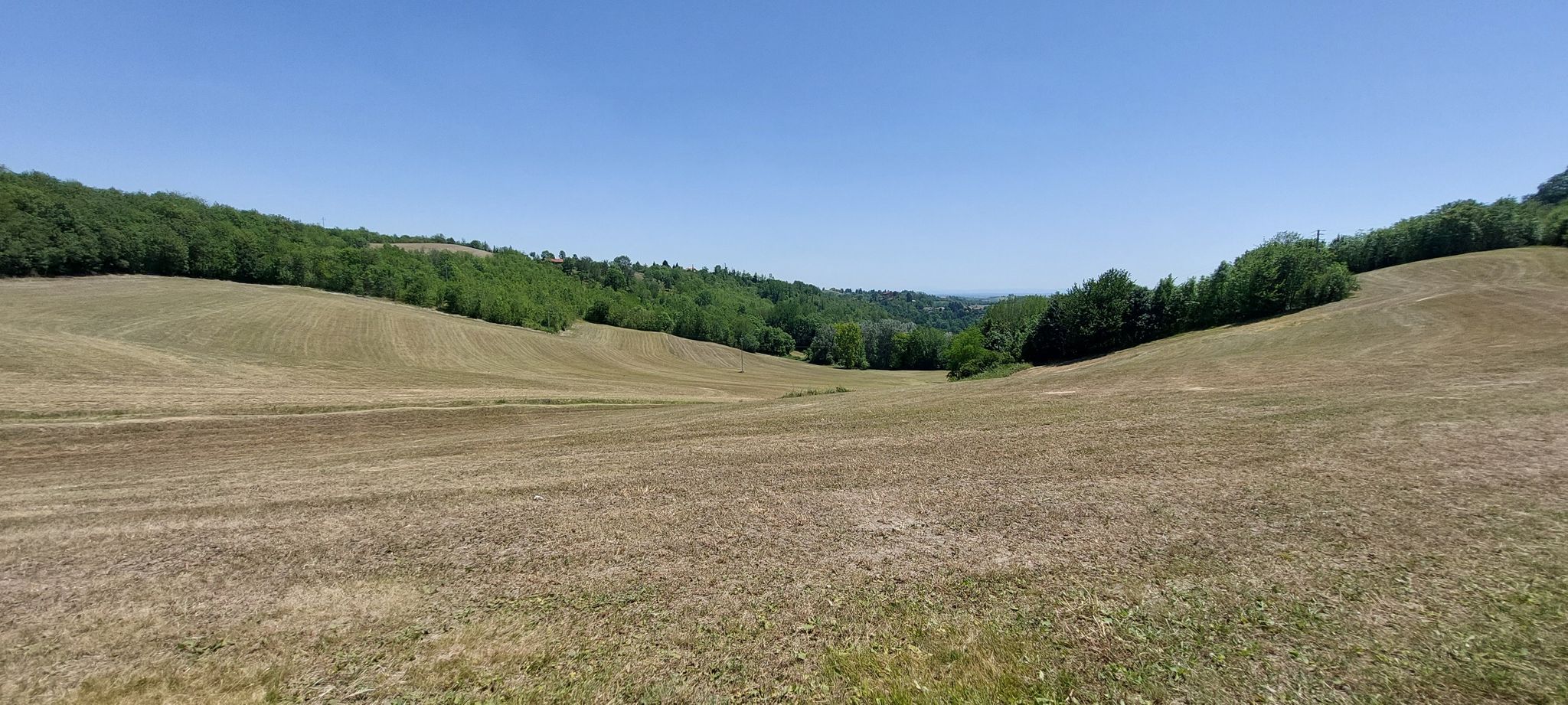 Strada tra Montaldo e Sciolze