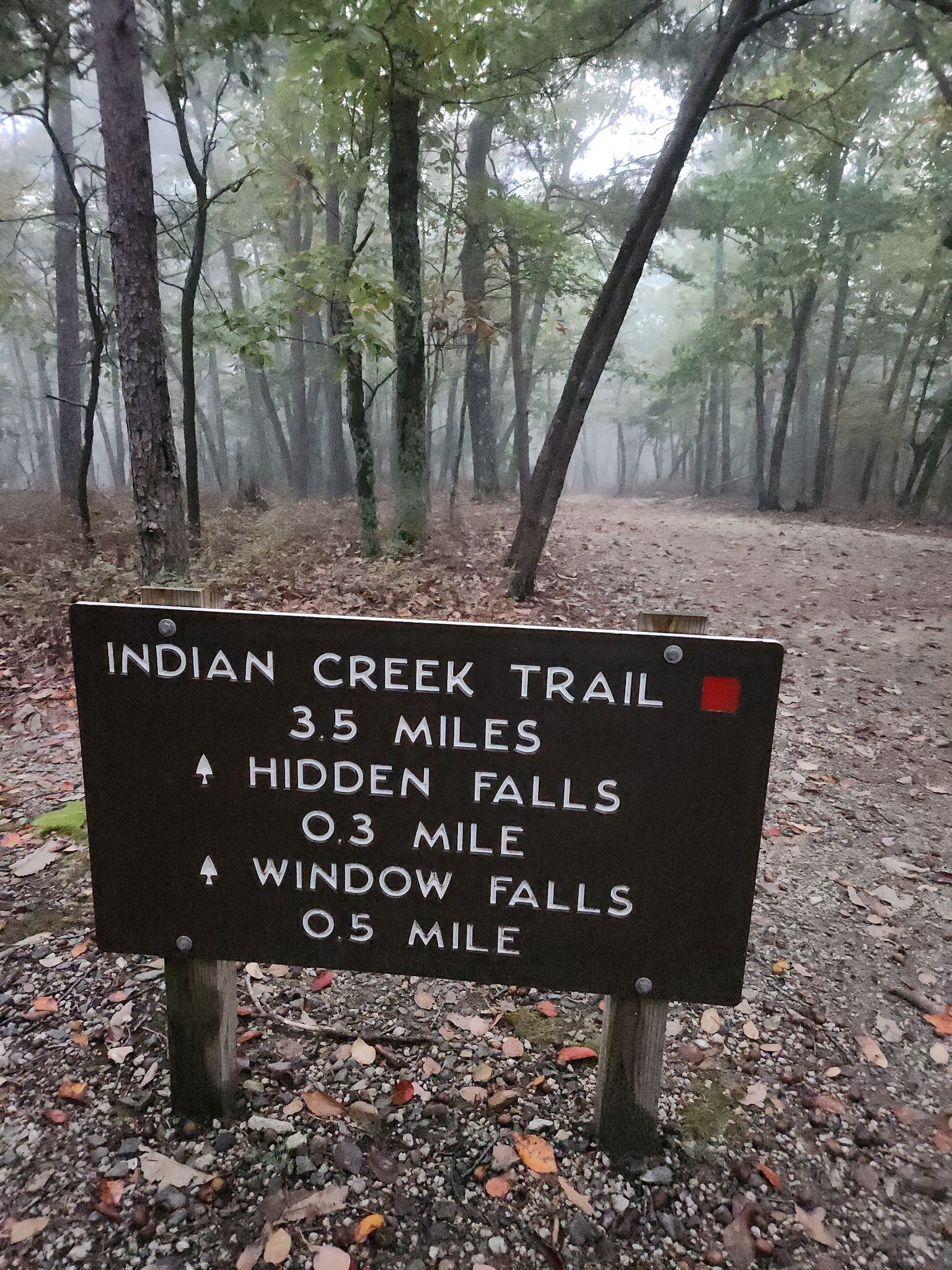 A brown trail sign on a dirt path in a misty, overcast forest. - Indian Creek Trail to Hidden and Window Falls