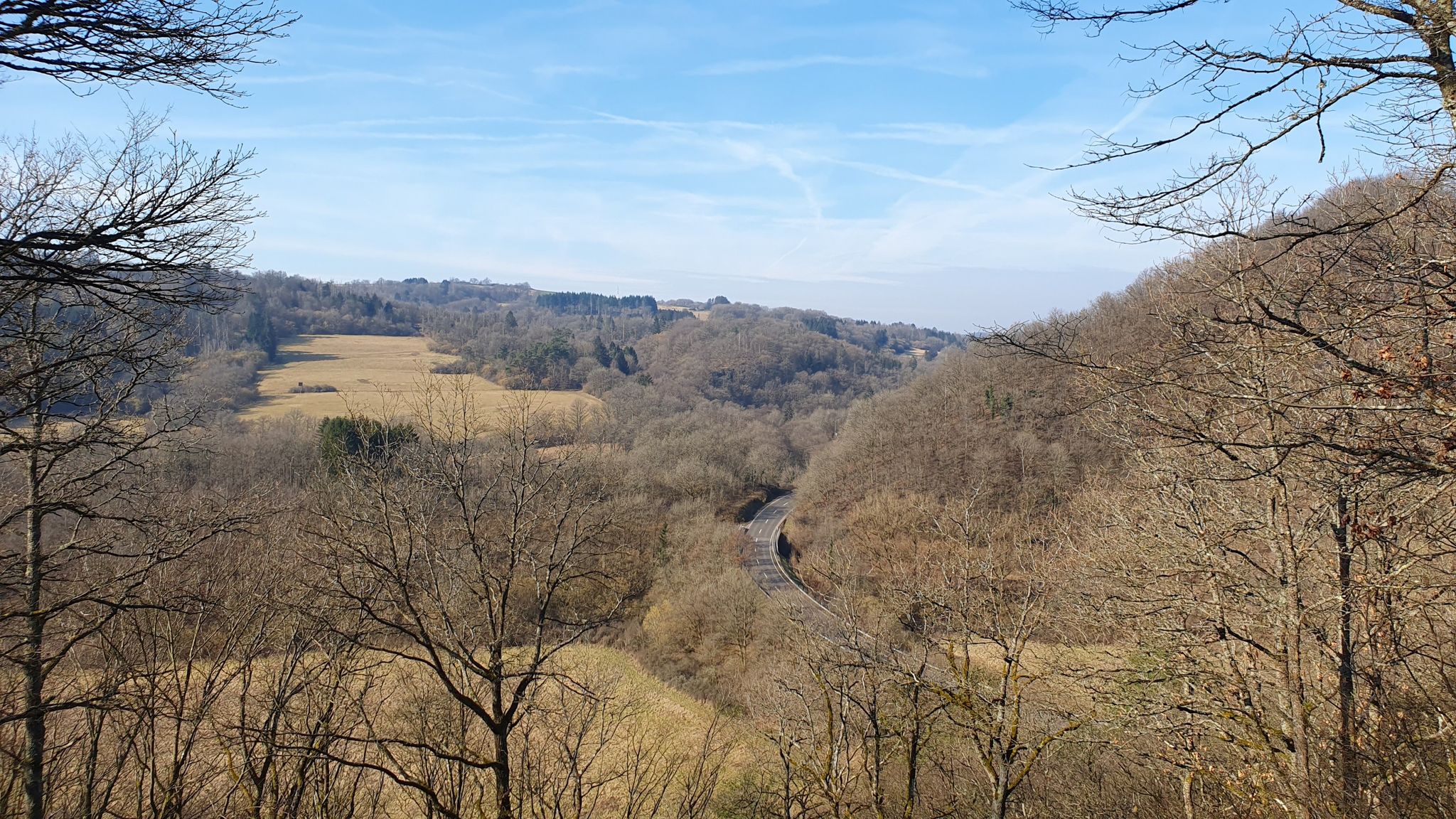Panoramablick am Rastplatz Scheidwald