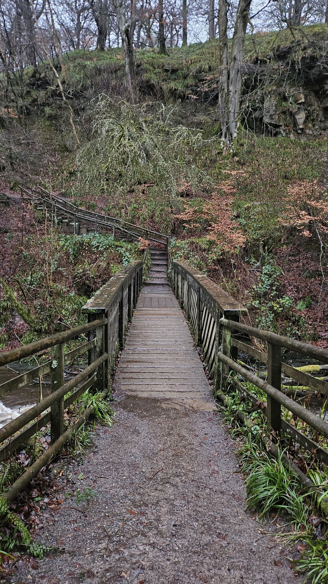bridge