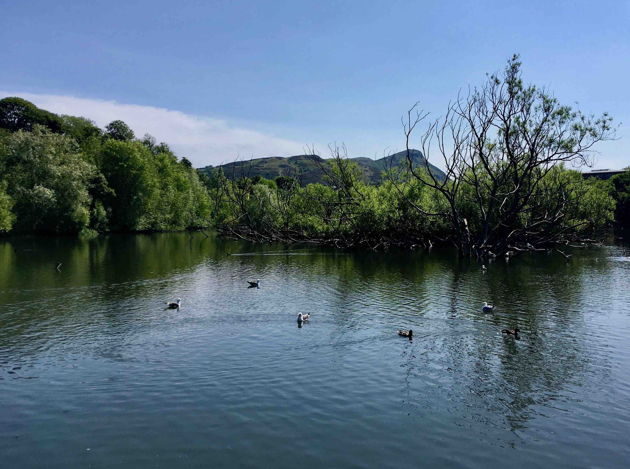 Lochend Park