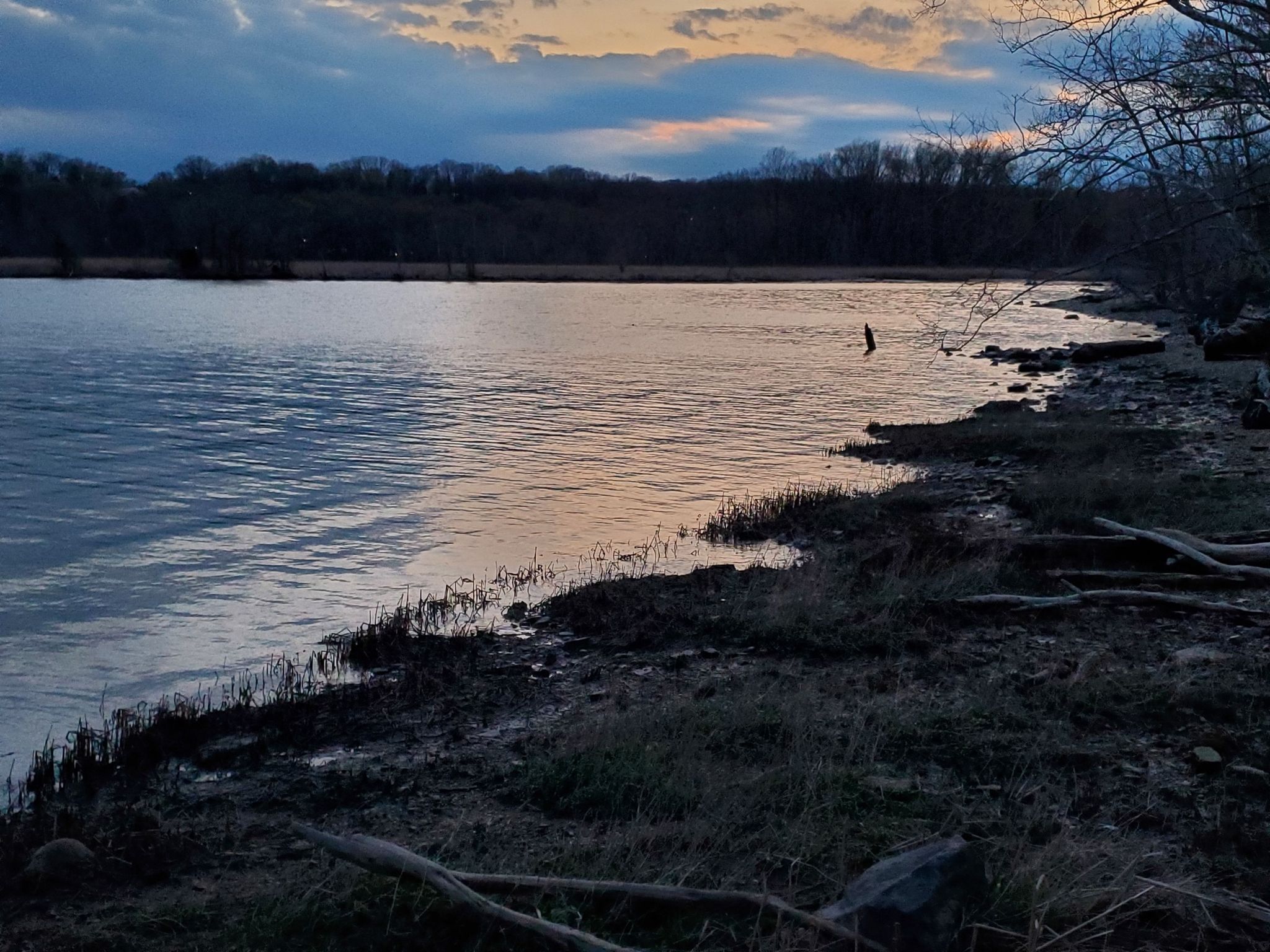 Dark water shoreline at dusk with trees and cloudy sky. - Mount Vernon Trail and Dyke Marsh Haul Road Trail